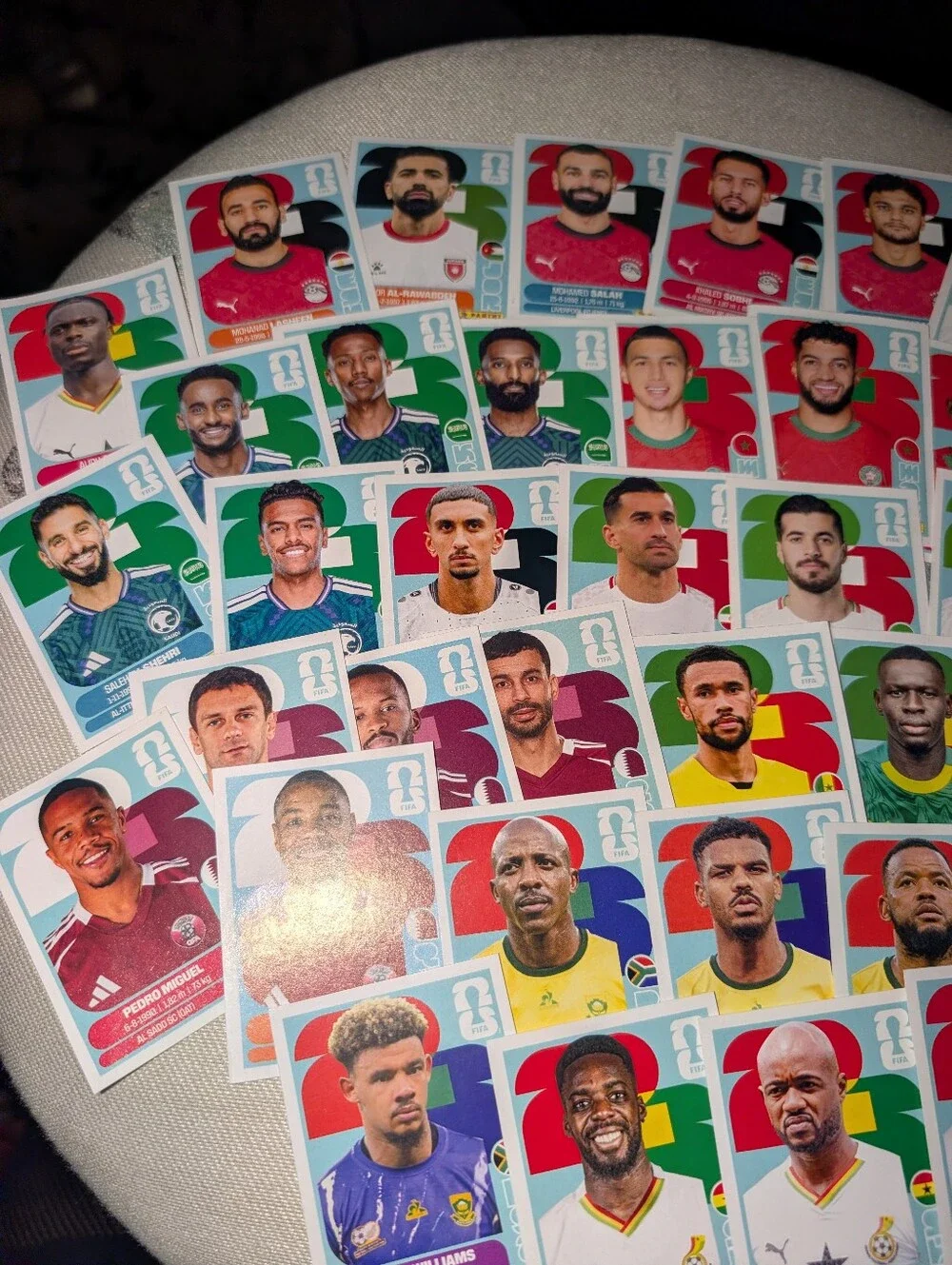 Panini World Cup 2026 Player Sticker Lot - Multicolor- Approx 30 Cards